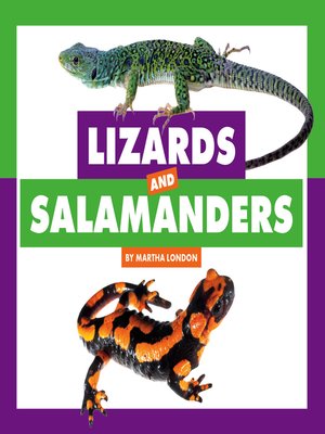 cover image of Lizards and Salamanders